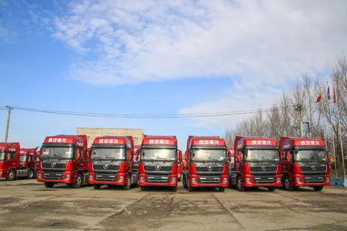 駿博與駿和 以點(diǎn)帶面，實(shí)現(xiàn)銷(xiāo)量與服務(wù)雙提升的卡車(chē)銷(xiāo)售新典范